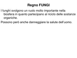 Regno FUNGI