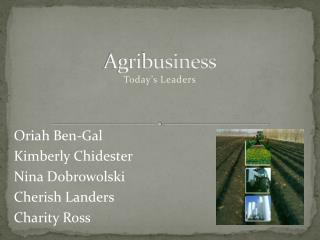 Agribusiness