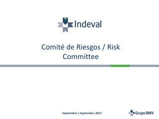 Comité de Riesgos / Risk Committee