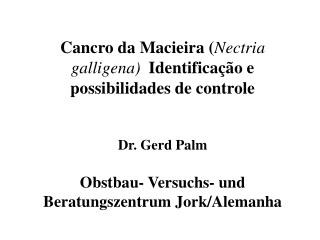 Infecção por Nectria ocorrida o outono a partir do local de abcisão foliar