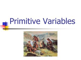 Primitive Variables