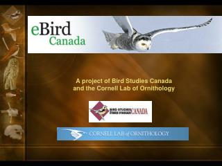 A project of Bird Studies Canada and the Cornell Lab of Ornithology
