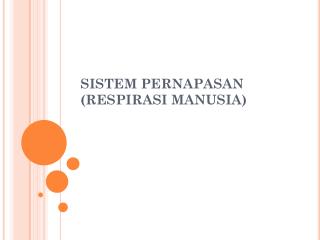 S ISTEM PERNAPASAN (RESPIRASI MANUSIA)