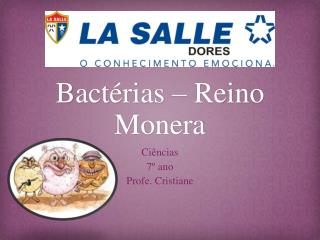 Bactérias – Reino Monera