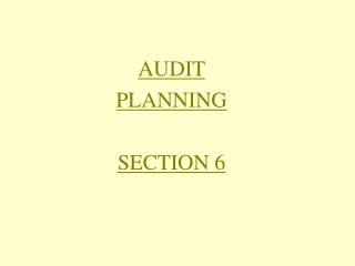 AUDIT PLANNING SECTION 6