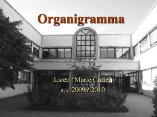 Organigramma