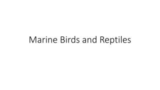 Marine Birds and Reptiles