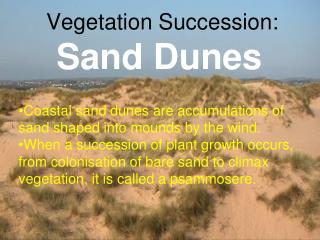 Vegetation Succession: Sand Dunes