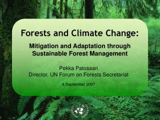 Forests and Climate Change: