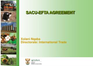 SACU-EFTA AGREEMENT