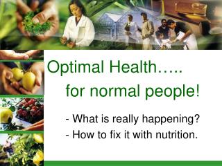 Optimal Health….. for normal people! - What is really happening?