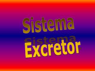 Sistema Excretor