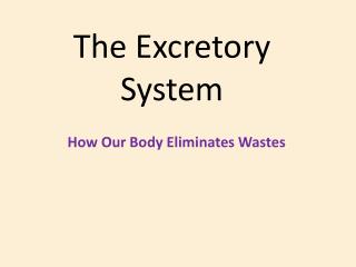 The Excretory System