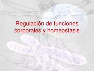 Regulación de funciones corporales y homeostasis