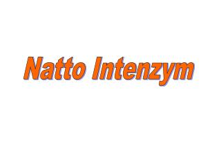 Natto Intenzym