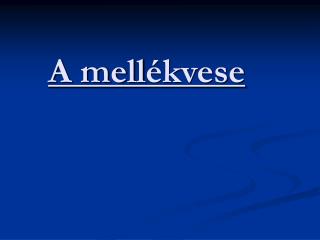 A mell ékvese