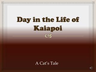 Day in the Life of Kaiapoi