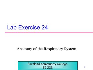 Lab Exercise 24