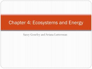 Chapter 4: Ecosystems and Energy