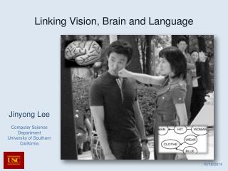 Linking Vision, Brain and Language