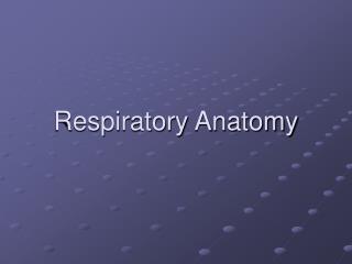 Respiratory Anatomy