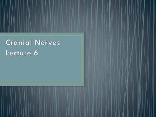 Cranial Nerves Lecture 6