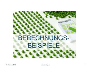 BERECHNUNGS- BEISPIELE