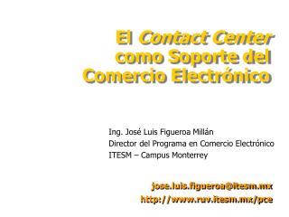 Ing. José Luis Figueroa Millán Director del Programa en Comercio Electrónico