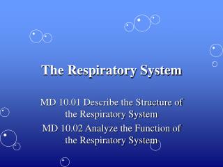 The Respiratory System