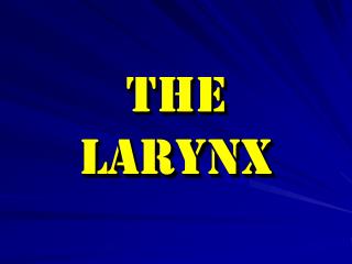 The larynx