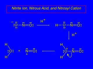 Nitrite Ion, Nitrous Acid, and Nitrosyl Cation