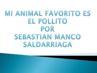 MI ANIMAL FAVORITO ES EL POLLITO POR SEBASTIAN MANCO SALDARRIAGA