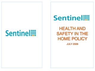 HEALTH AND SAFETY IN THE HOME POLICY JULY 2009