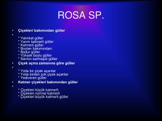 ROSA SP.