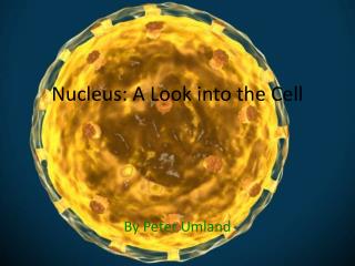 Nucleus: A Look into the Cell