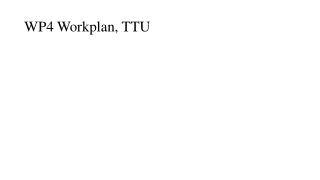 WP4 Workplan, TTU