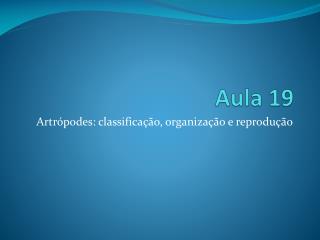 Aula 19