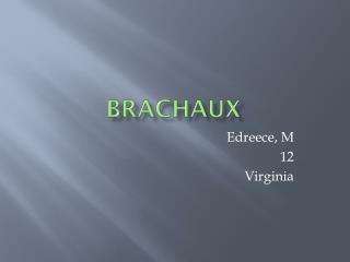 BRACHAux