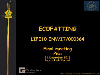 Final meeting –Pisa ICCOM 11 December 2013