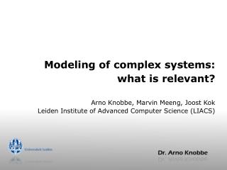 Modeling of complex systems: what is relevant?