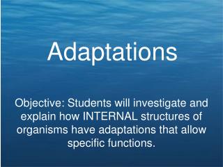 Adaptations