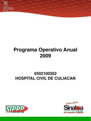 Programa Operativo Anual 2009