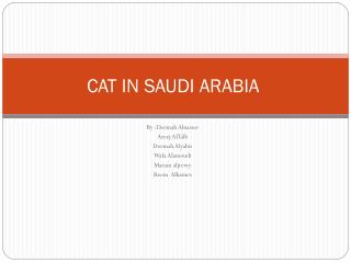 CAT IN SAUDI ARABIA