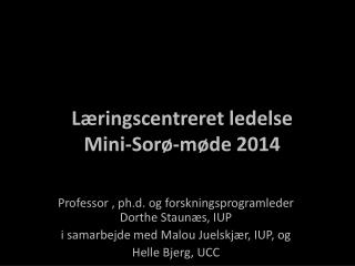 Læringscentreret ledelse Mini-Sorø-møde 2014