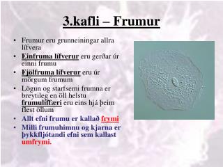 3.kafli – Frumur