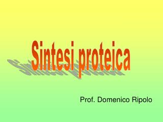 Prof. Domenico Ripolo