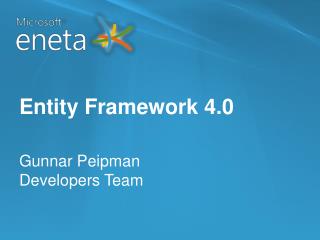 Entity Framework 4.0