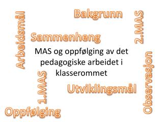 MAS og oppfølging av det pedagogiske arbeidet i klasserommet