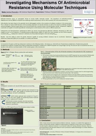 Investigating Mechanisms Of Antimicrobial Resistance Using Molecular Techniques