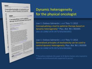 Dynamic heterogeneity for the physical oncologist